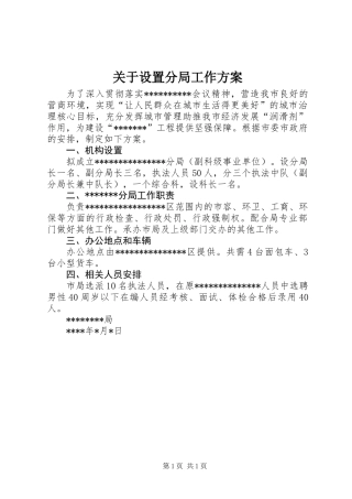 关于设置分局工作方案