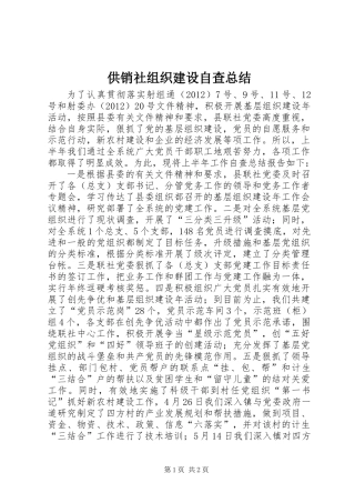 供销社组织建设自查总结