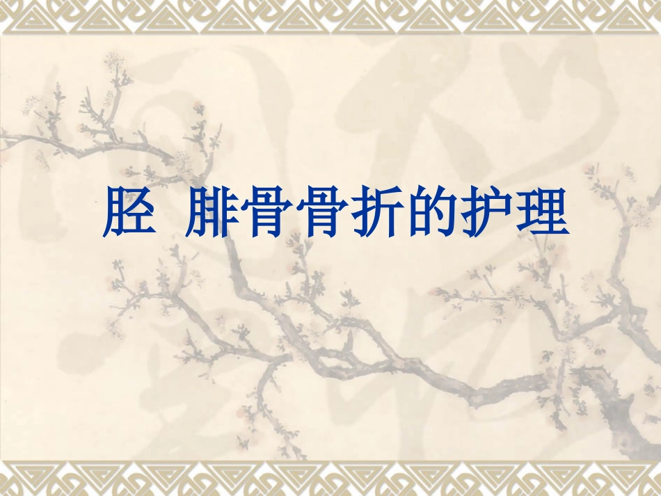 胫腓骨骨折护理_第1页