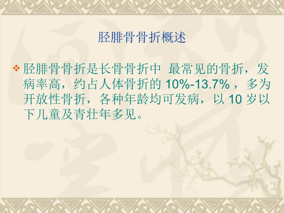 胫腓骨骨折护理_第2页