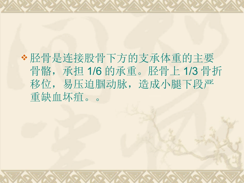 胫腓骨骨折护理_第3页