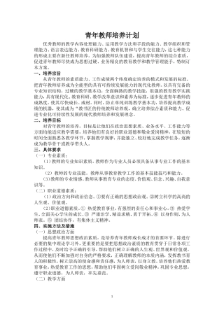 青年教师培养计划