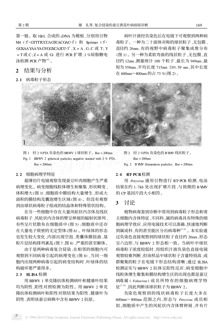 复合侵染的蚕豆黄花叶病病原诊断_第2页