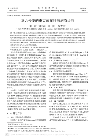 复合侵染的蚕豆黄花叶病病原诊断