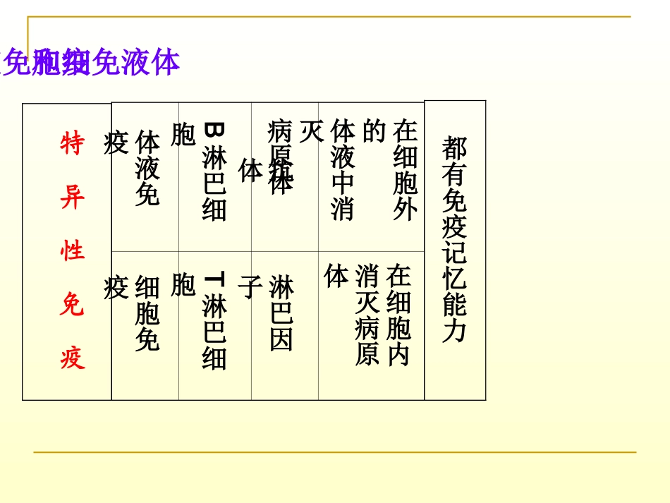 九年级科学身体的防卫2_第2页