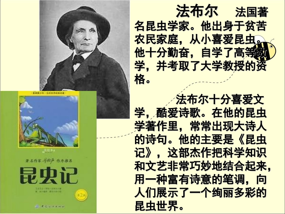 李娜同课异构《蟋蟀的住宅》课件-_第2页