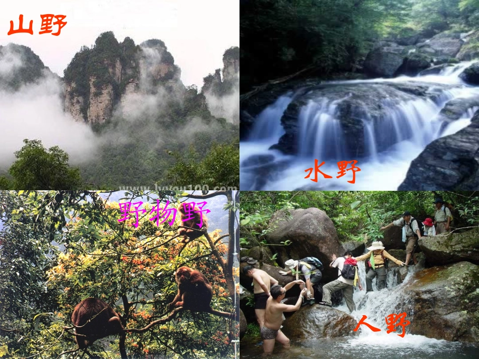 索溪峪的野 (3)_第3页