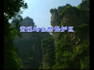 索溪峪的野 (3)