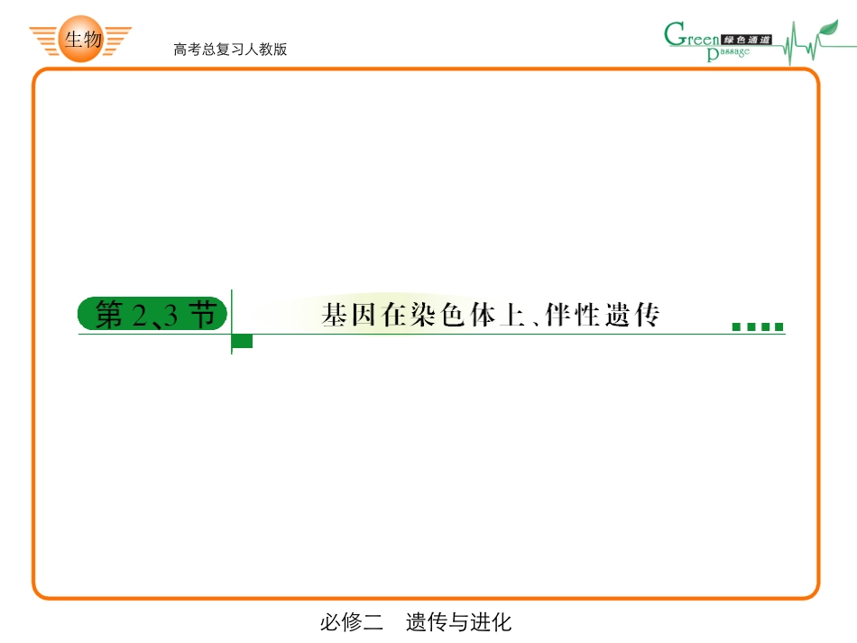 高中生物ppt-42-必修二2-2、3_第1页