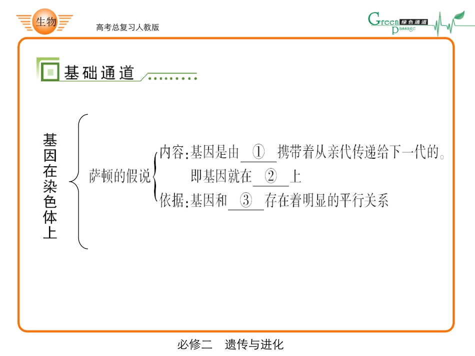 高中生物ppt-42-必修二2-2、3_第2页