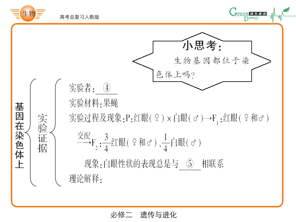 高中生物ppt-42-必修二2-2、3_第3页