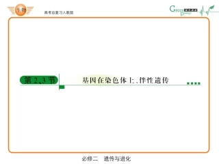 高中生物ppt-42-必修二2-2、3
