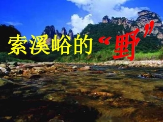 六年级语文上册第一组4索溪谷的“野”第一课时课件