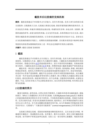截肢术后幻肢痛的发病机制 最终版