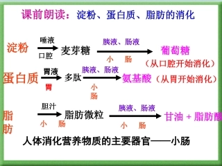 邱昭文专题五《人体的呼吸》