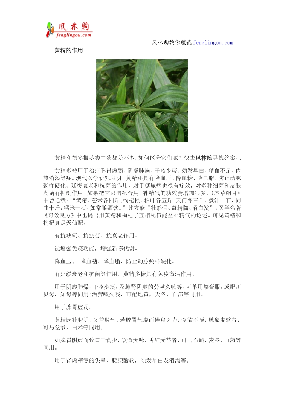 黄精的功效与作用 黄精怎么吃 黄精泡水喝的小窍门_第2页