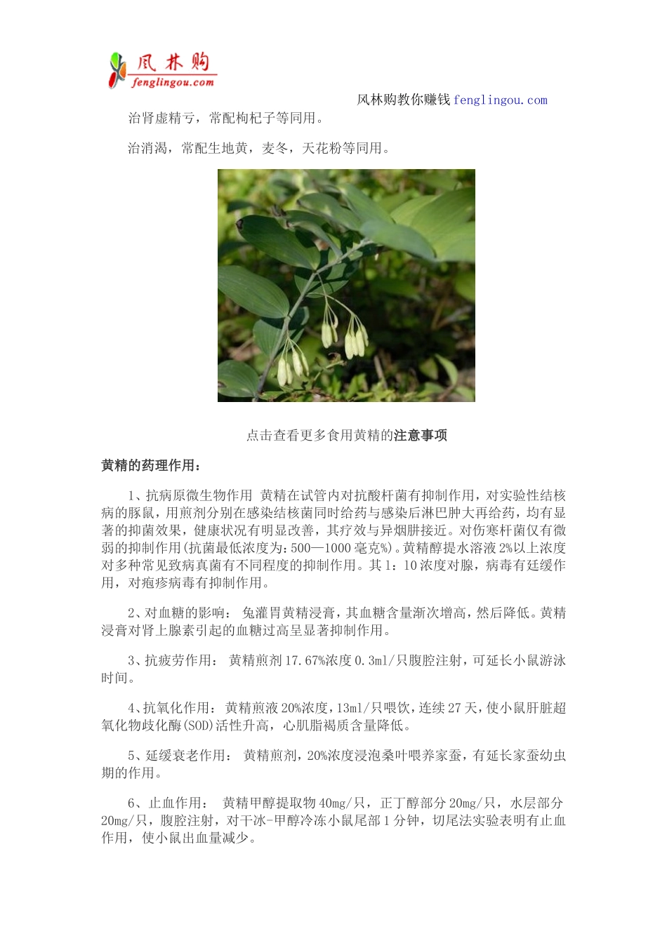 黄精的功效与作用 黄精怎么吃 黄精泡水喝的小窍门_第3页