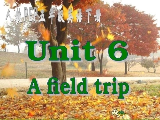 PEP五年级下册英语第六单元A