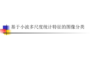 基于小波多尺度统计特征的图像分类(yj)
