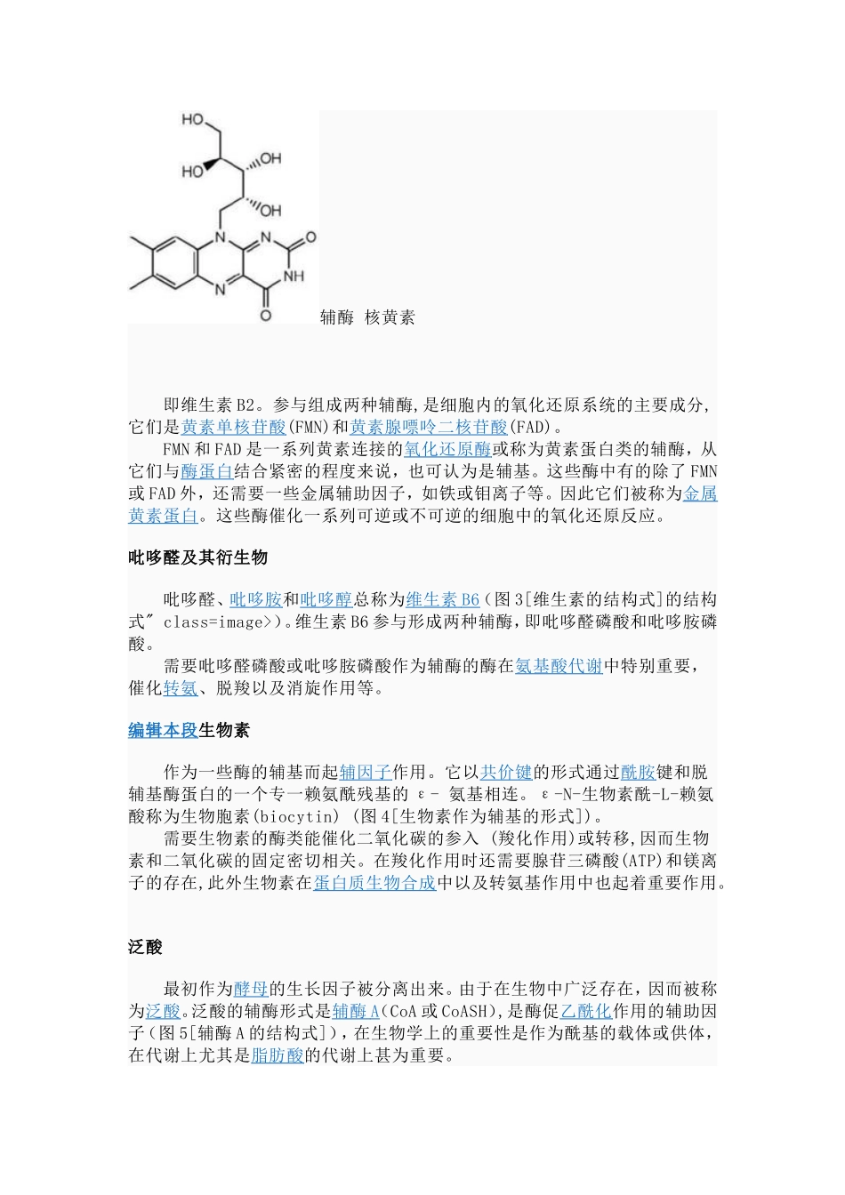 辅酶  辅基  金属离子_第2页