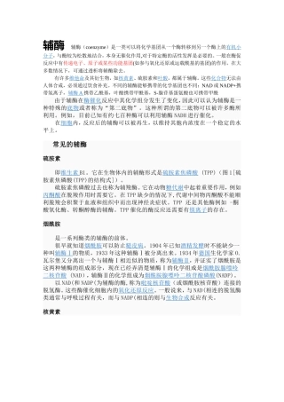 辅酶  辅基  金属离子