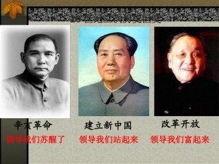 辛亥革命教学用