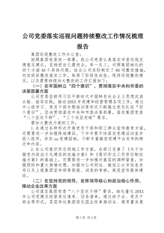 公司党委落实巡视问题持续整改工作情况梳理报告