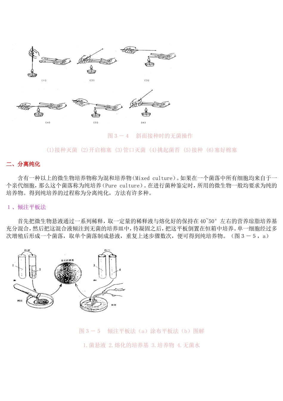 菌种的分离与纯化_第3页