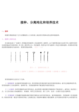 菌种的分离与纯化