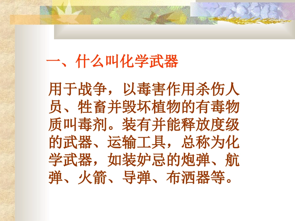 化学武器的特点_第2页