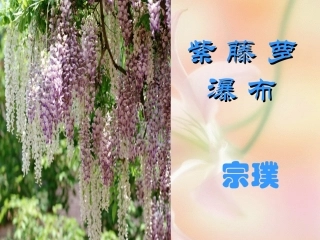 《紫藤萝瀑布