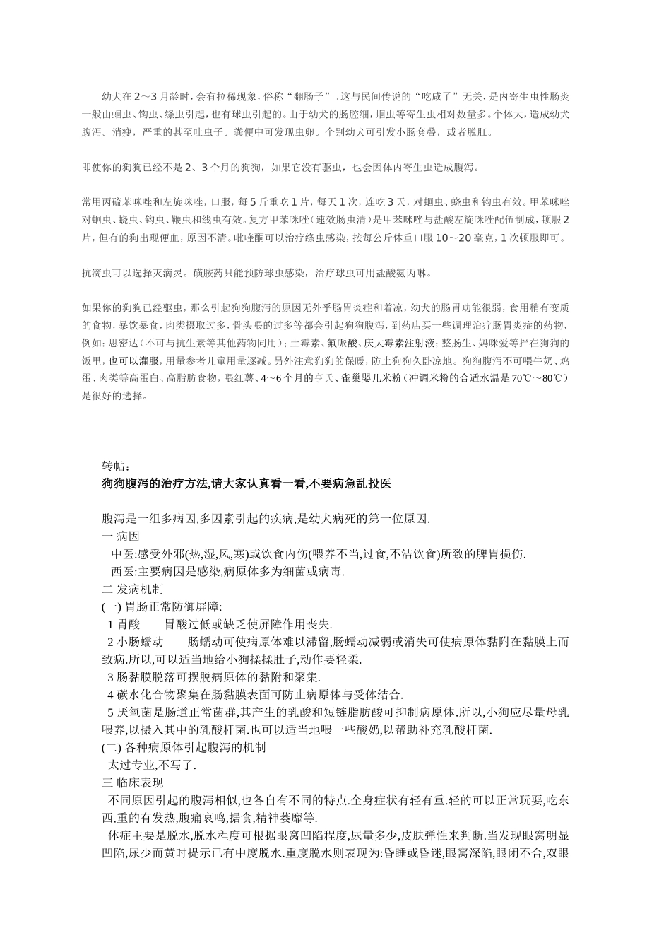 狗狗腹泻怎么办_第1页