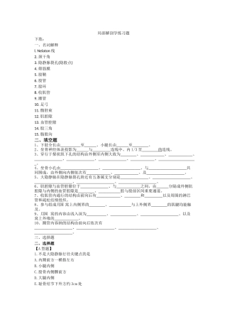 局部解剖练习题 下肢