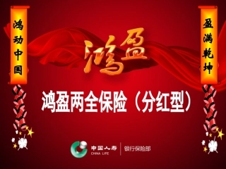 国寿鸿盈两全保险(分红型)