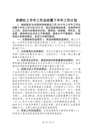 供销社上半年工作总结暨下半年工作计划