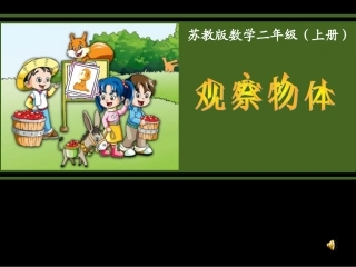 苏教版国标本二年级上册《观察物体》课件(1)