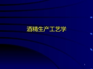 酒精生产工艺学