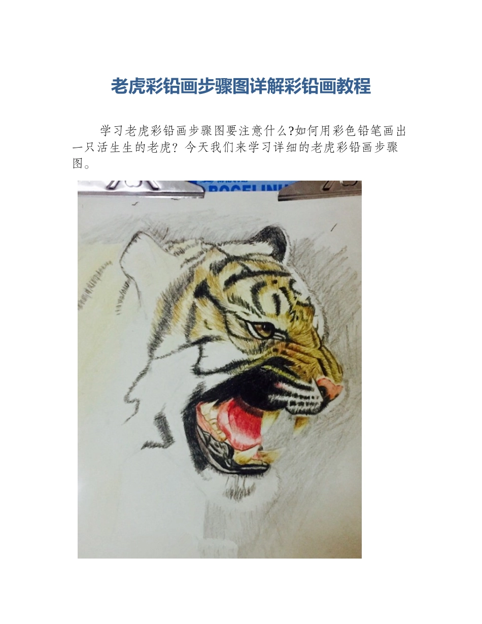 老虎彩铅画步骤图详解彩铅画教程_第1页