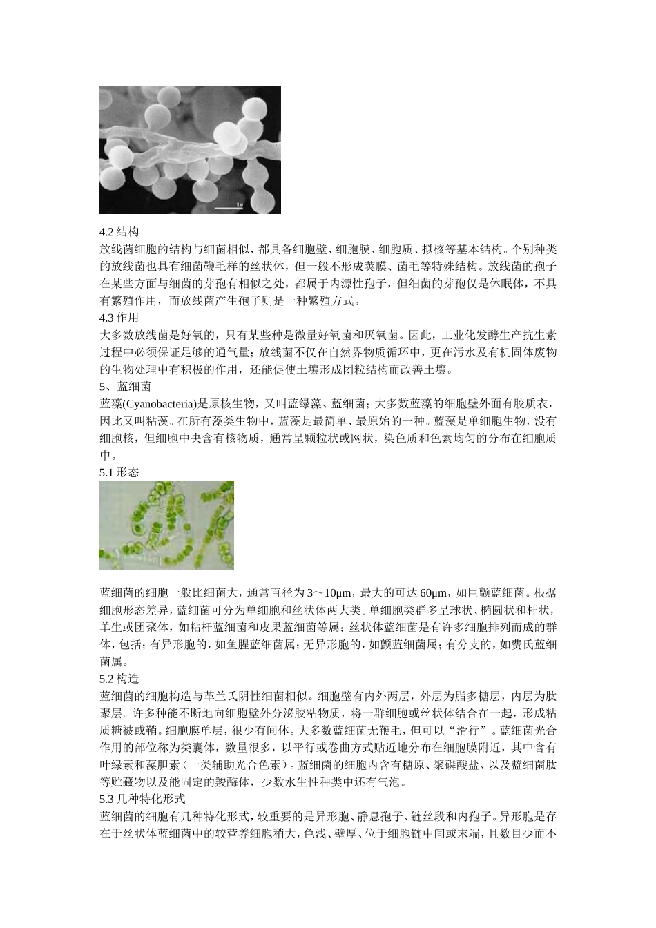 各种微生物的形态结构及功能_第3页