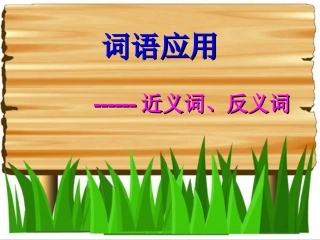近反义词解析