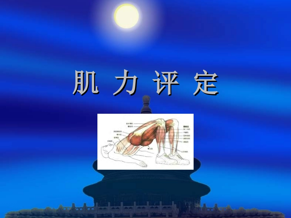 肌力评定 13级_第1页