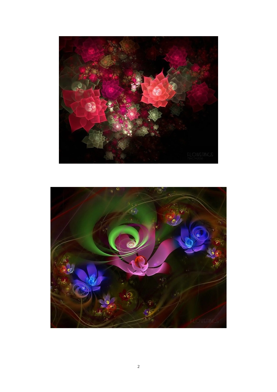 数学迭代产生的美妙图形_第2页