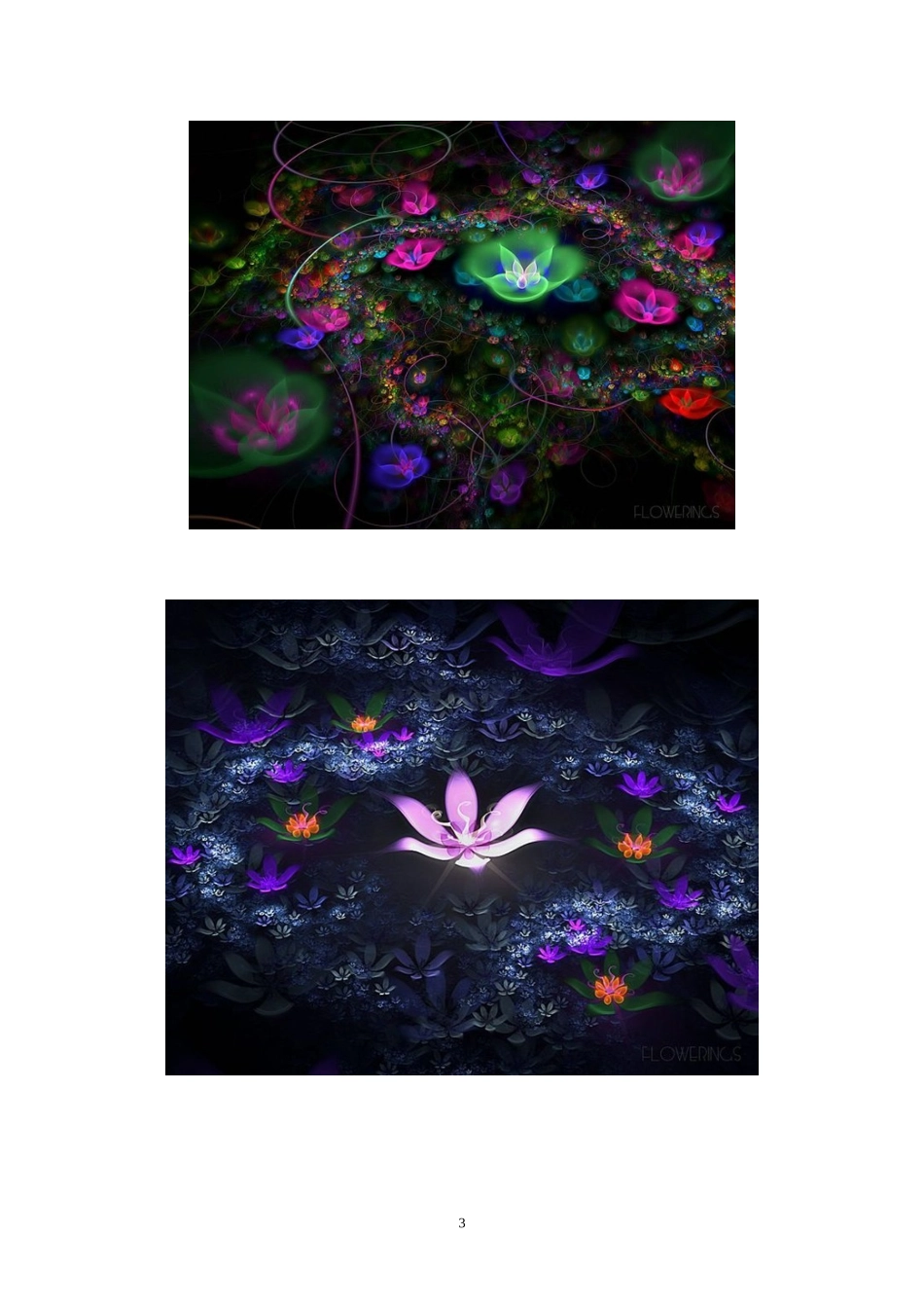 数学迭代产生的美妙图形_第3页