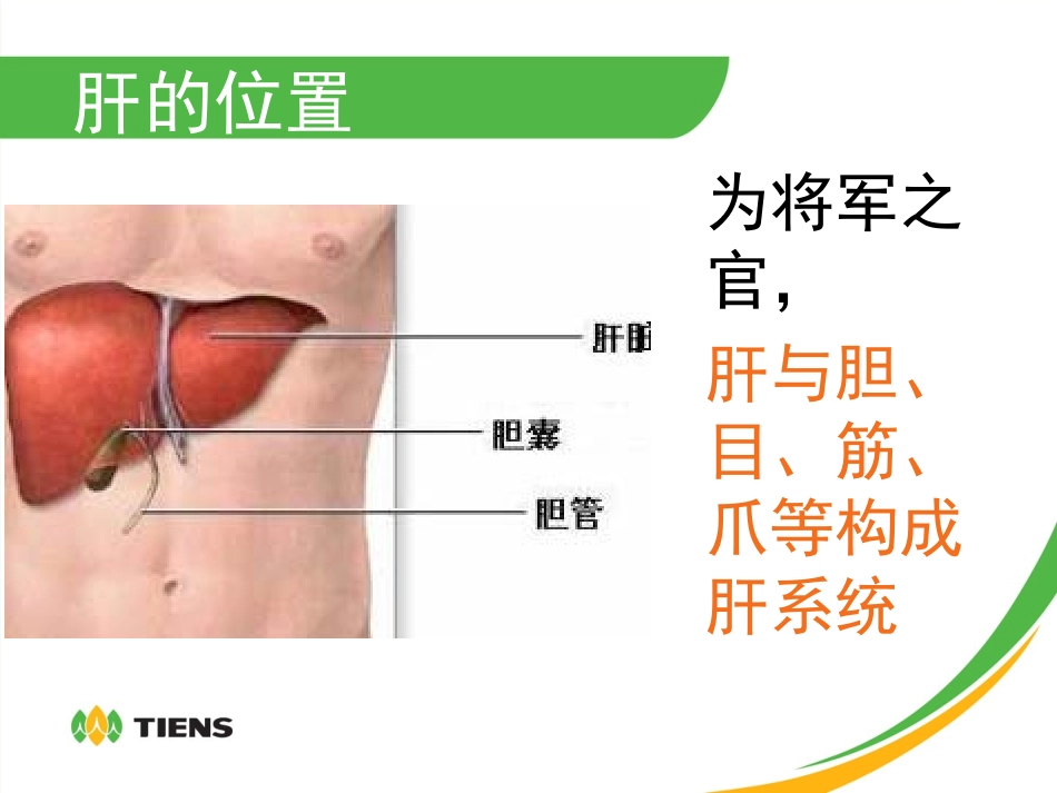 肝心脾肺肾+24小时养生_第3页