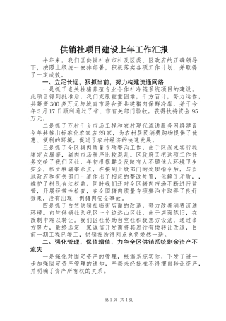 供销社项目建设上年工作汇报