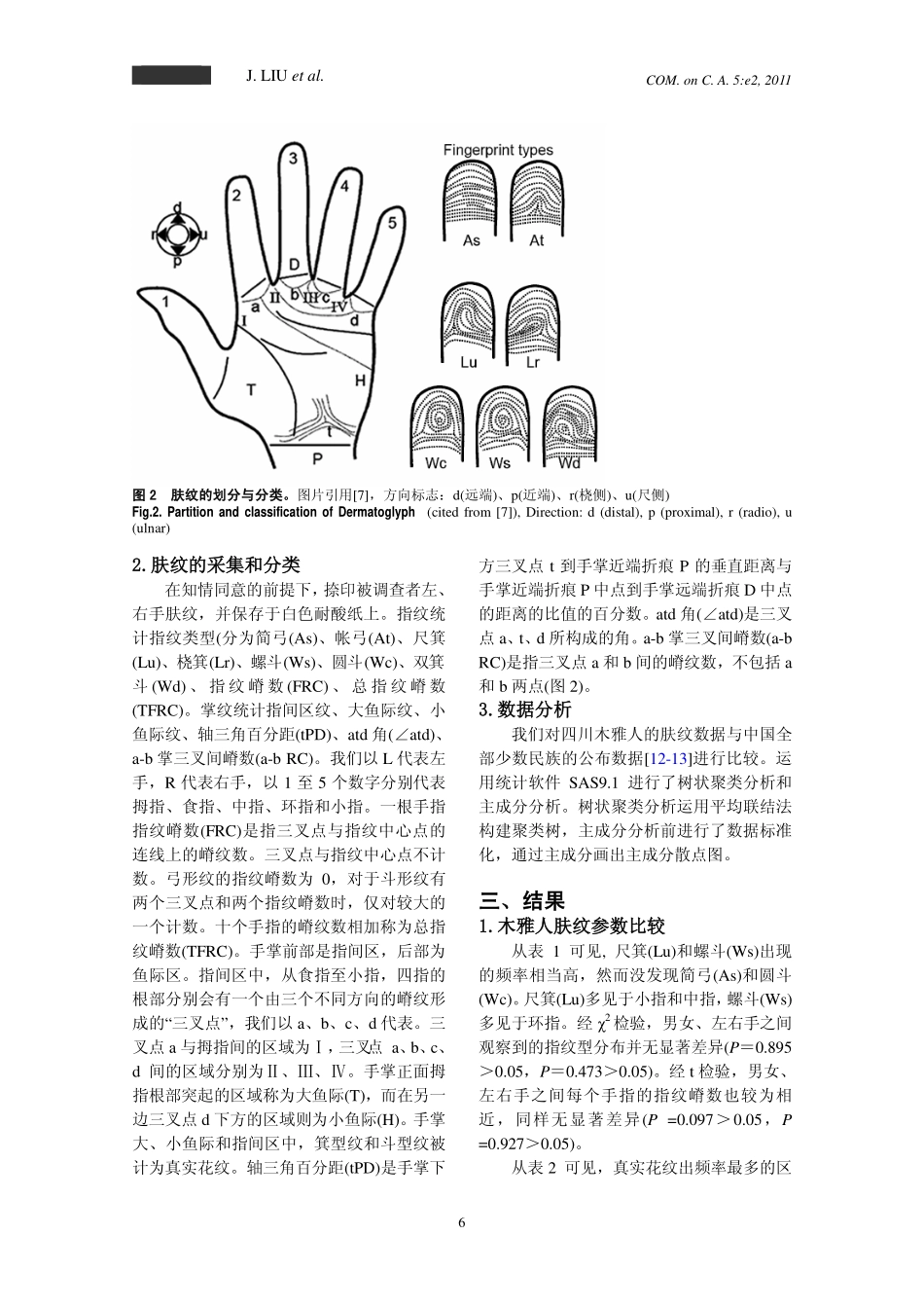 肤纹揭示四川木雅人可能是西夏国党项人后裔_第3页