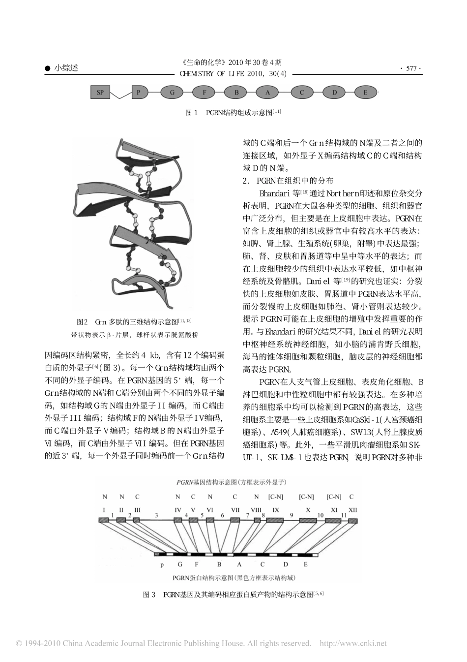 颗粒蛋白前体_PGRN_与额颞叶变性_第2页