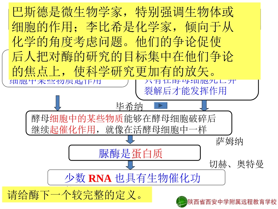 降低化学反应活化能的酶2-郑箫13-11-15_第3页