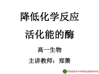 降低化学反应活化能的酶2-郑箫13-11-15