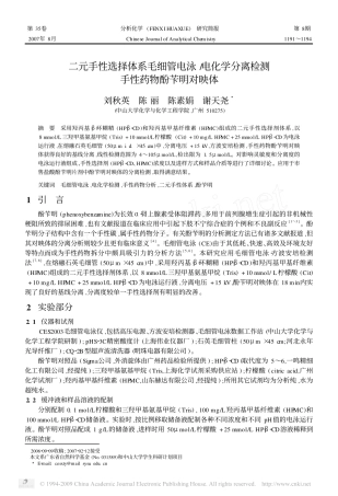 管电泳  电化学分离检